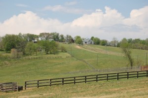 20120421-193525.jpg