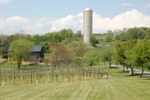 20120421-193532.jpg